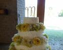 Wedding cake at Lanark in Millbrook