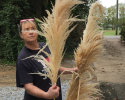 Natural Pampa Grass/ mostly 48-60" tall. Packages of 6
Each 6 Count package $60.00
New Packages