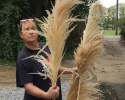 Natural Pampa Grass/ mostly 48-60" tall. Packages of 6
Each 6 Count package $60.00
New Packages